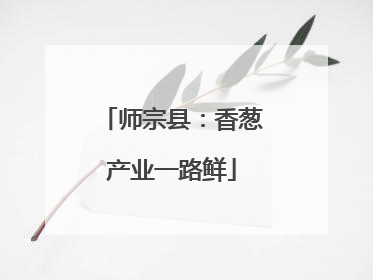 师宗县：香葱产业一路鲜