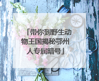 带你到野生动物王国揭秘鄂州人专属暗号