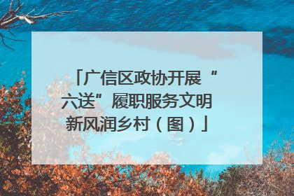 广信区政协开展“六送”履职服务文明新风润乡村（图）