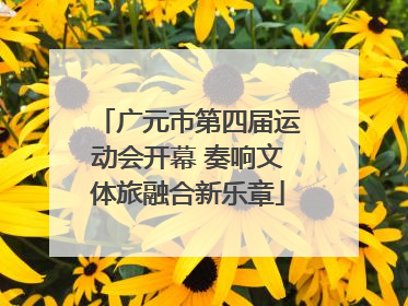 广元市第四届运动会开幕 奏响文体旅融合新乐章