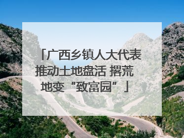广西乡镇人大代表推动土地盘活 撂荒地变“致富园”