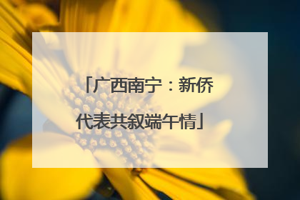 广西南宁：新侨代表共叙端午情