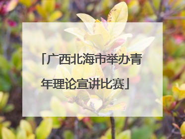 广西北海市举办青年理论宣讲比赛