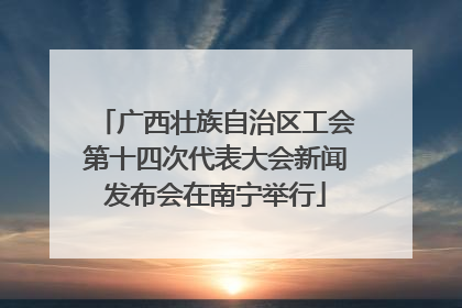 广西壮族自治区工会第十四次代表大会新闻发布会在南宁举行