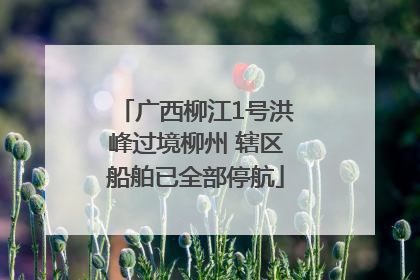 广西柳江1号洪峰过境柳州 辖区船舶已全部停航