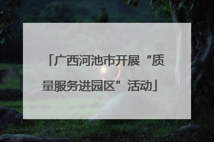 广西河池市开展“质量服务进园区”活动