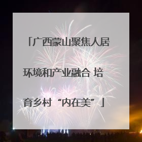 广西蒙山聚焦人居环境和产业融合 培育乡村“内在美”