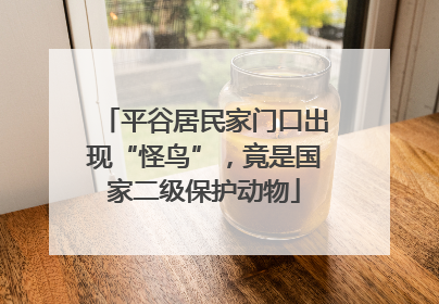 平谷居民家门口出现“怪鸟”，竟是国家二级保护动物