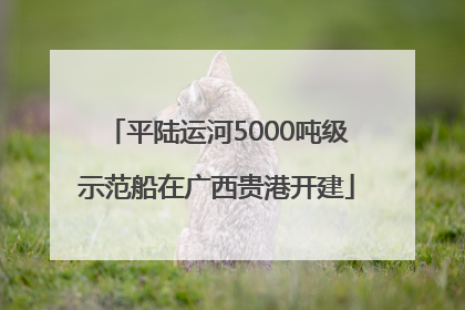 平陆运河5000吨级示范船在广西贵港开建