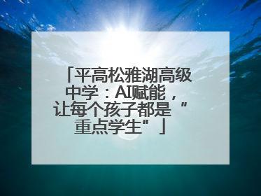 平高松雅湖高级中学：AI赋能，让每个孩子都是“重点学生”
