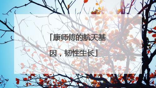 康师傅的航天基因，韧性生长