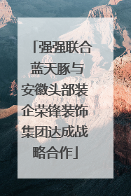 强强联合 蓝天豚与安徽头部装企荣锋装饰集团达成战略合作
