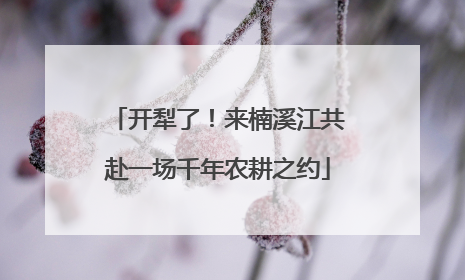 开犁了！来楠溪江共赴一场千年农耕之约