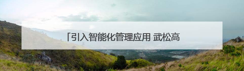 引入智能化管理应用 武松高速杨家湾大桥架梁提前完工