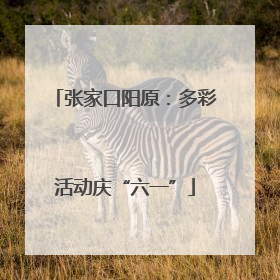 张家口阳原：多彩活动庆“六一”