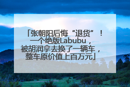 张朝阳后悔“退货”！一个绝版Labubu，被胡润拿去换了一辆车，整车原价值上百万元