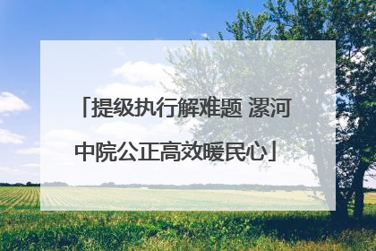 提级执行解难题 漯河中院公正高效暖民心