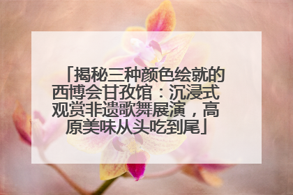 揭秘三种颜色绘就的西博会甘孜馆：沉浸式观赏非遗歌舞展演，高原美味从头吃到尾