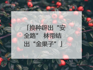 换种辟出“安全路” 林带结出“金果子”