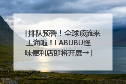 排队预警！全球顶流来上海啦！LABUBU怪味便利店即将开展→