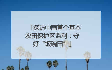探访中国首个基本农田保护区监利：守好“饭碗田”