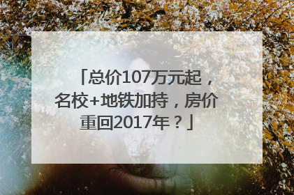 总价107万元起，名校+地铁加持，房价重回2017年？