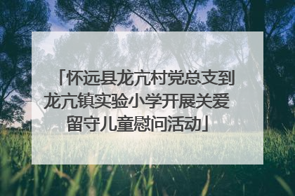 怀远县龙亢村党总支到龙亢镇实验小学开展关爱留守儿童慰问活动