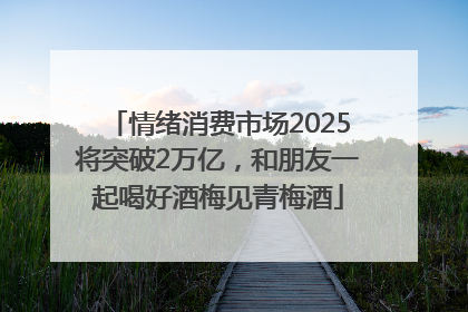 情绪消费市场2025将突破2万亿，和朋友一起喝好酒梅见青梅酒