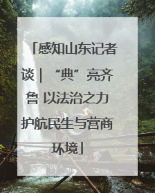 感知山东记者谈｜“典”亮齐鲁 以法治之力护航民生与营商环境