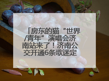 房东的猫“世界/青年”演唱会济南站来了！济南公交开通6条歌迷定制专线