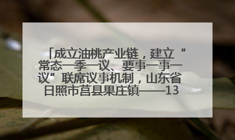 成立油桃产业链，建立“常态一季一议、要事一事一议”联席议事机制，山东省日照市莒县果庄镇——13个党小组“全周期”育果