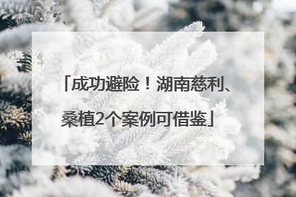 成功避险！湖南慈利、桑植2个案例可借鉴