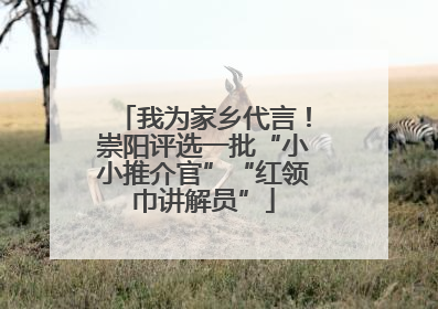 我为家乡代言！崇阳评选一批“小小推介官”“红领巾讲解员”