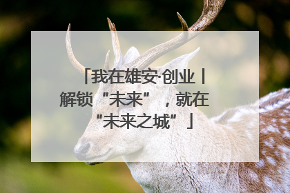 我在雄安·创业丨解锁“未来”，就在“未来之城”