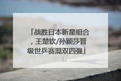 战胜日本新星组合，王楚钦/孙颖莎晋级世乒赛混双四强
