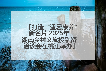 打造“避暑康养”新名片 2025年湖南乡村文旅投融资洽谈会在桃江举办