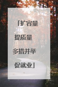 扩容量提质量 多措并举促就业