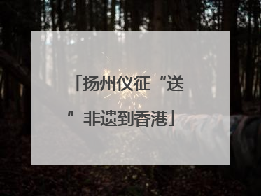 扬州仪征“送”非遗到香港