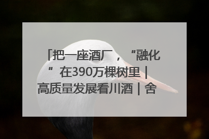 把一座酒厂，“融化”在390万棵树里｜高质量发展看川酒｜舍得酒｜舍得酒业｜舍得老酒｜沱牌酒