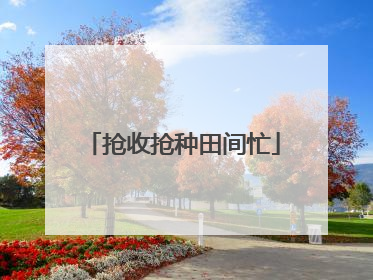 抢收抢种田间忙