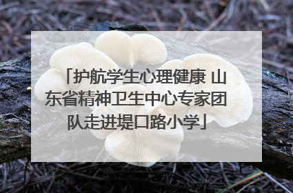 护航学生心理健康 山东省精神卫生中心专家团队走进堤口路小学