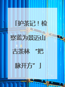 护茶记！检察蓝为景迈山古茶林 “把脉开方”