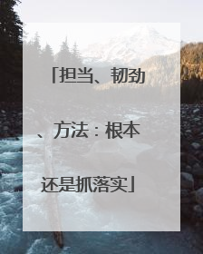 担当、韧劲、方法：根本还是抓落实
