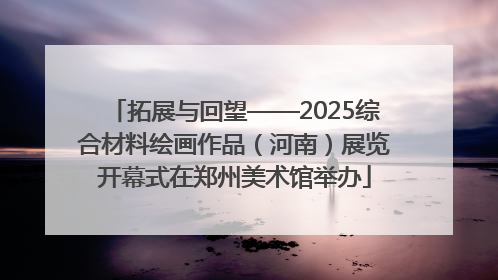拓展与回望——2025综合材料绘画作品（河南）展览开幕式在郑州美术馆举办