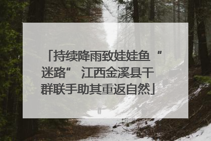 持续降雨致娃娃鱼“迷路” 江西金溪县干群联手助其重返自然