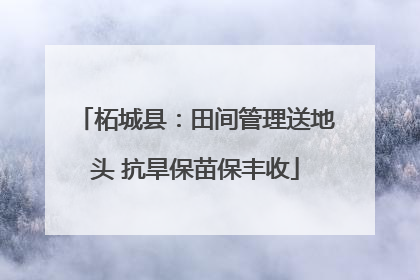 柘城县：田间管理送地头 抗旱保苗保丰收