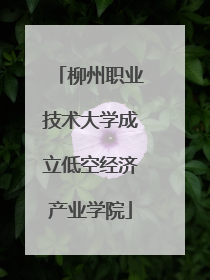 柳州职业技术大学成立低空经济产业学院