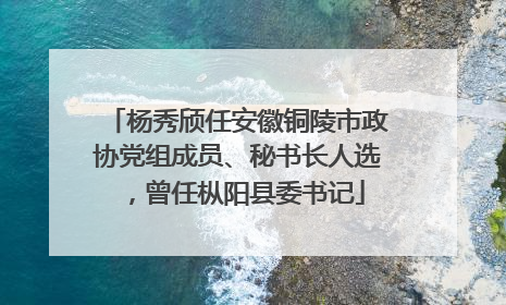 杨秀颀任安徽铜陵市政协党组成员、秘书长人选，曾任枞阳县委书记