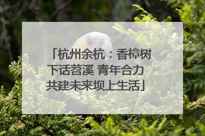 杭州余杭：香樟树下话苕溪 青年合力共建未来坝上生活