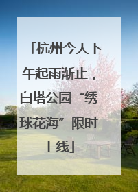 杭州今天下午起雨渐止，白塔公园“绣球花海”限时上线